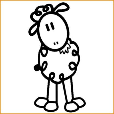 Schaap