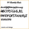 voorbeeld lettertype