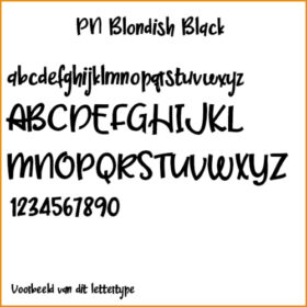 voorbeeld lettertype